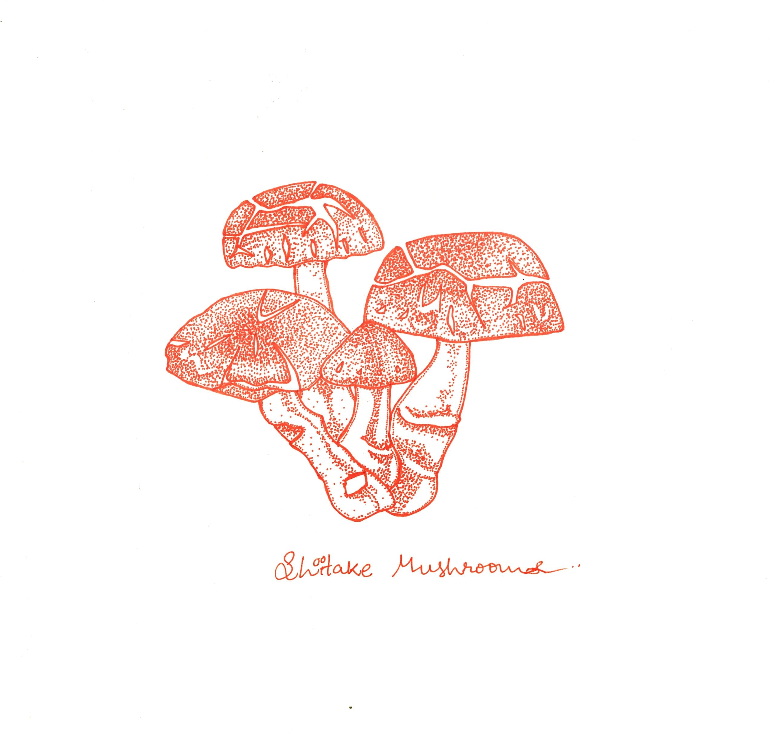 Mushrooms artwork