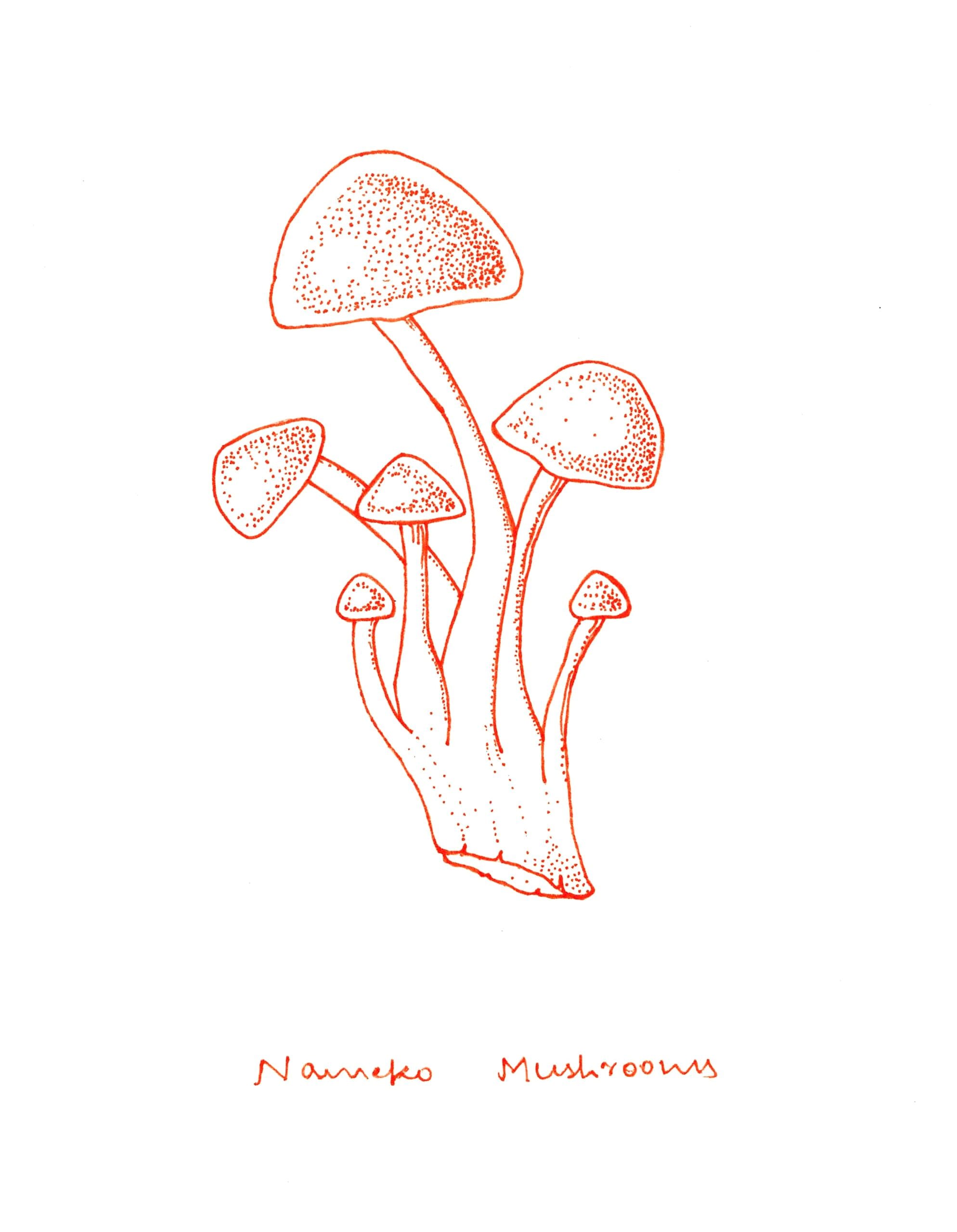 Mushrooms artwork
