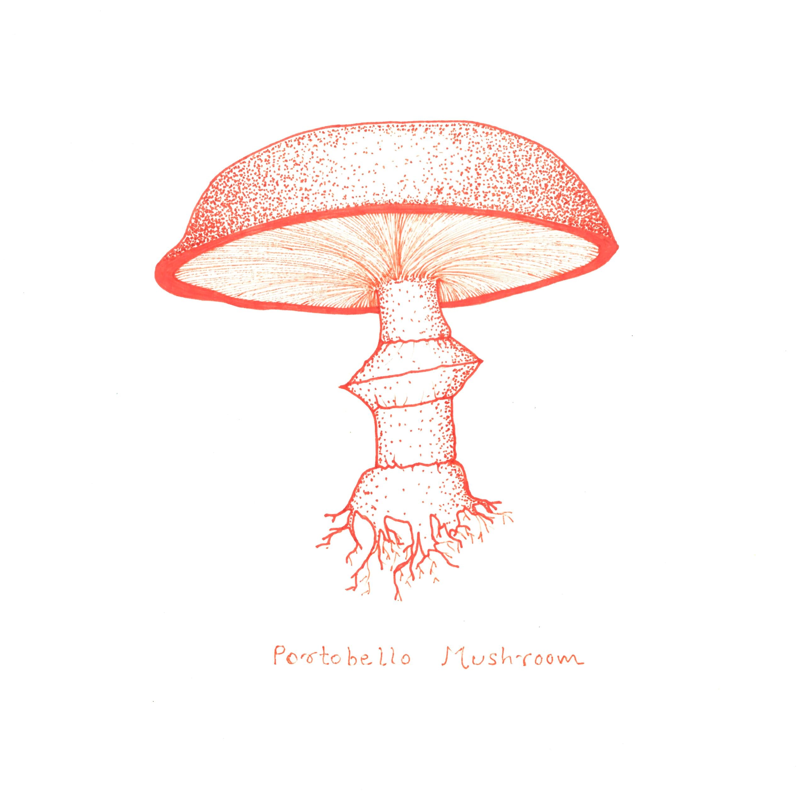 Mushrooms artwork
