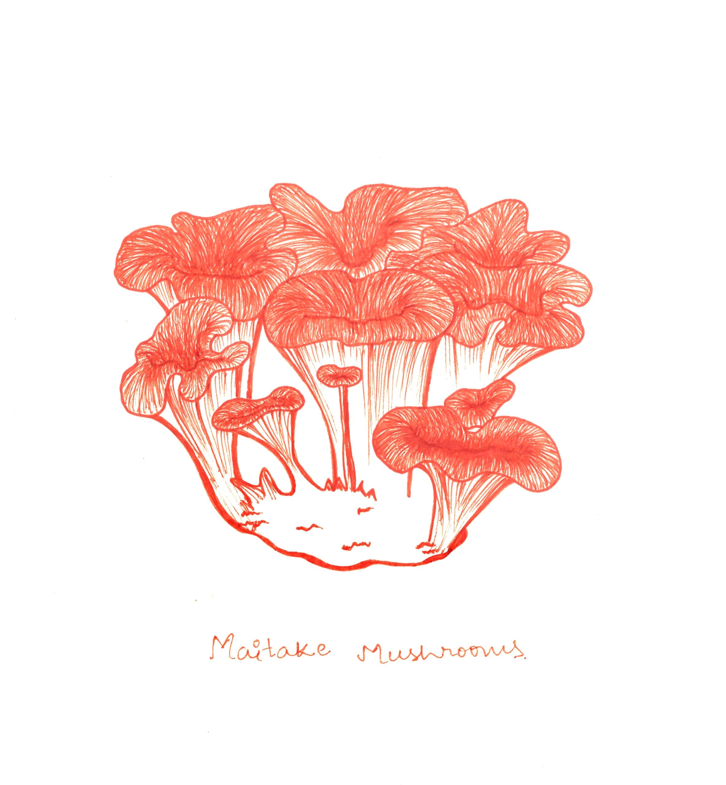 Mushrooms artwork